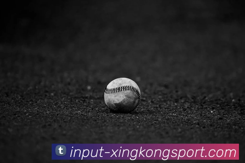 星空体育平台生态图